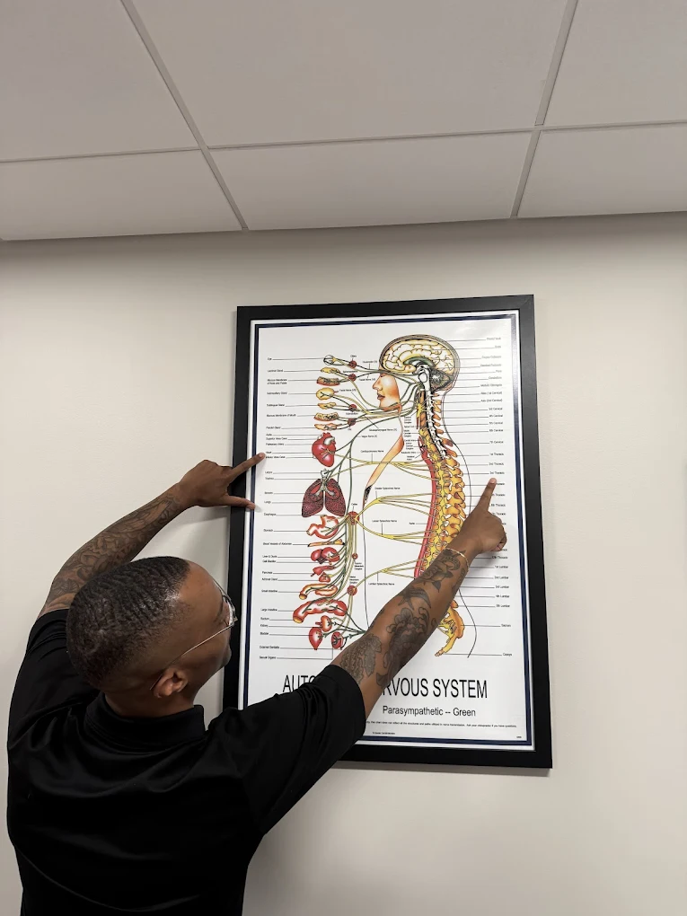 Chiropractor DC